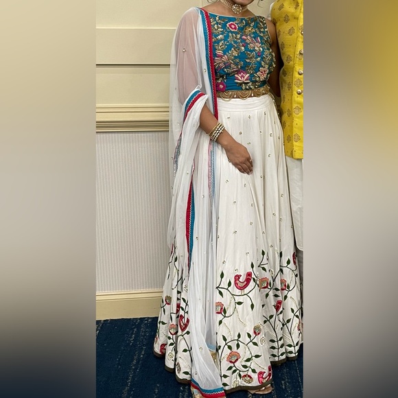 Gorgeous multi color lengha - Picture 3 of 16